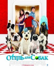 Отель для собак