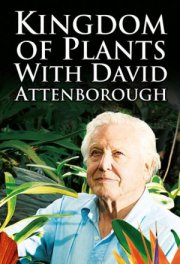 В королевстве растений