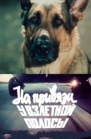 На привязи у взлетной полосы