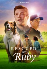 Руби, собака-спасатель