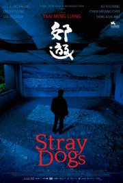 Бродячие псы