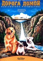 Дорога домой: Невероятное путешествие