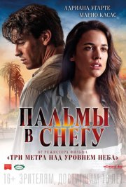 Пальмы в снегу