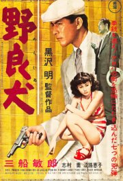 Бездомный пес