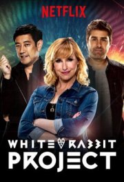 Проект Белый кролик