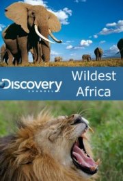 В дебрях Африки