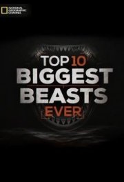 Топ-10 мегамонстров