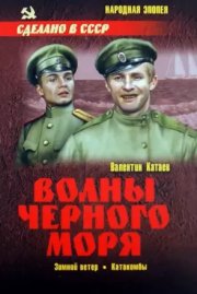 Волны Черного моря