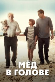 Мёд в голове