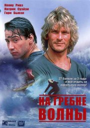 На гребне волны