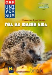 Год из жизни ежа