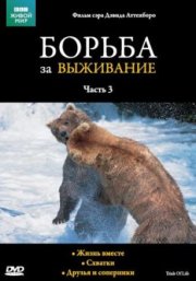 BBC: Борьба за выживание