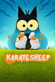 Барашек-каратист