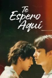 Приземление воздушного шара