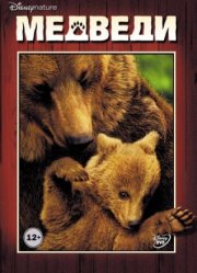 Медведи