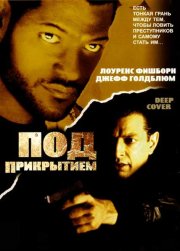 Под прикрытием