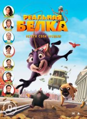 Реальная белка