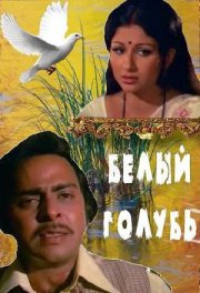 Белый голубь