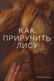 Как приручить лису