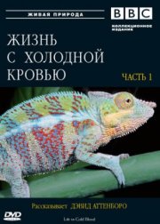 BBC: Жизнь с холодной кровью