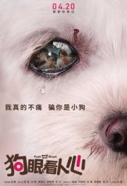 Ни перед чем не останавливайся