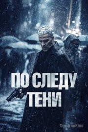По следу тени