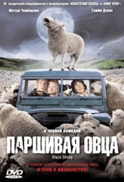 Паршивая овца