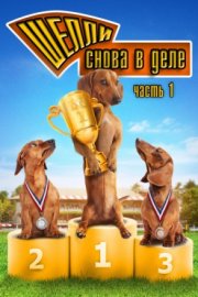 Шелли снова в деле: Часть 1