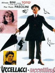 Птицы большие и малые