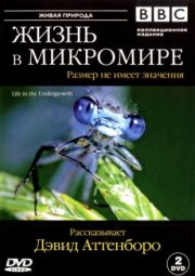 BBC: Жизнь в микромире