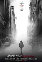 Монохром: Хромизм