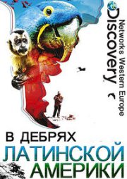 В дебрях Латинской Америки