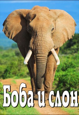 Боба и слон