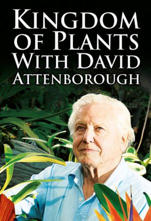 В королевстве растений