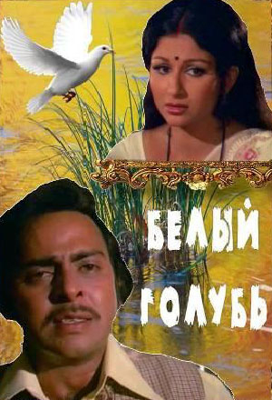 Белый голубь