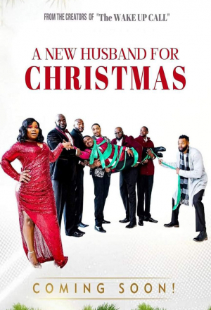 Новый муж на Рождество