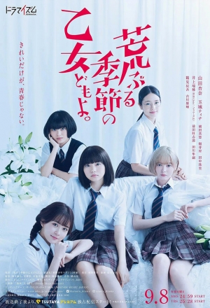 Передача эстафеты