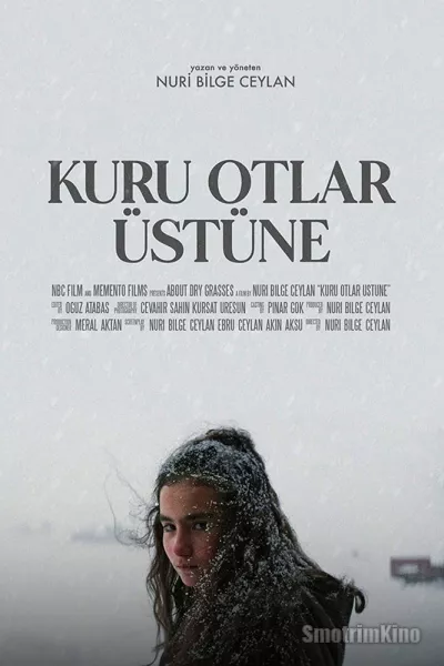 О сухой траве