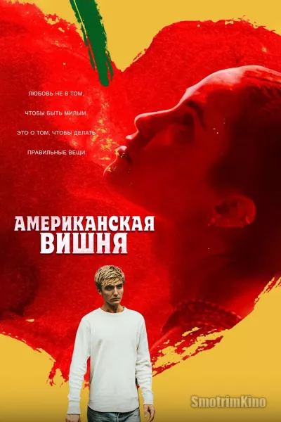 Американская вишня