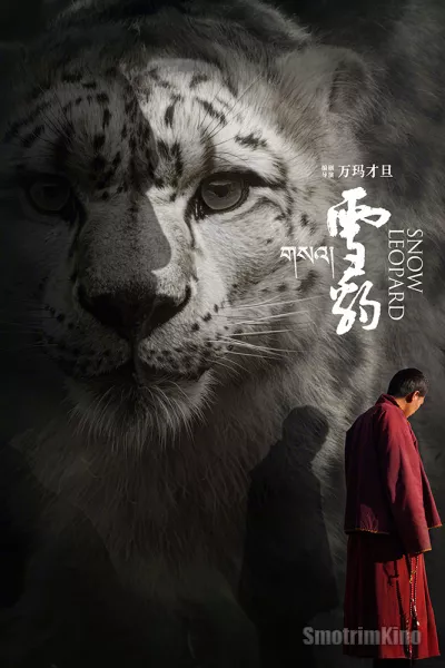 Снежный барс