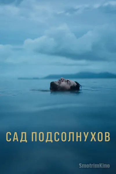 Сад подсолнухов