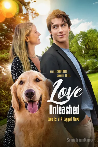 В поисках любви