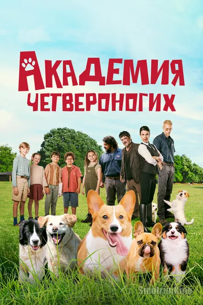 Академия четвероногих