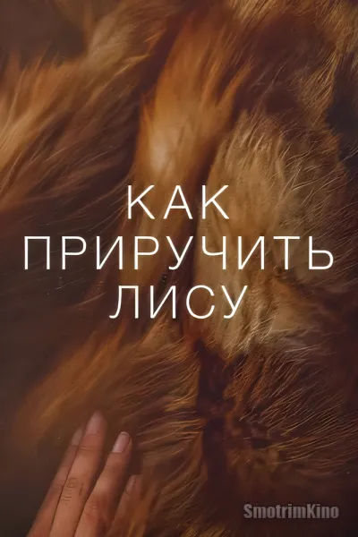 Как приручить лису