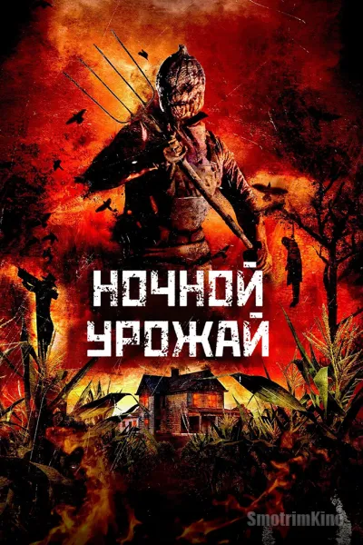 Ночной урожай