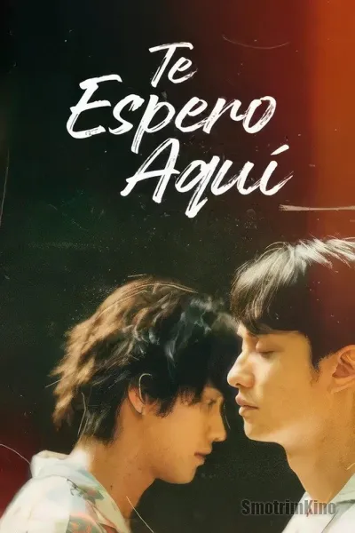 Приземление воздушного шара