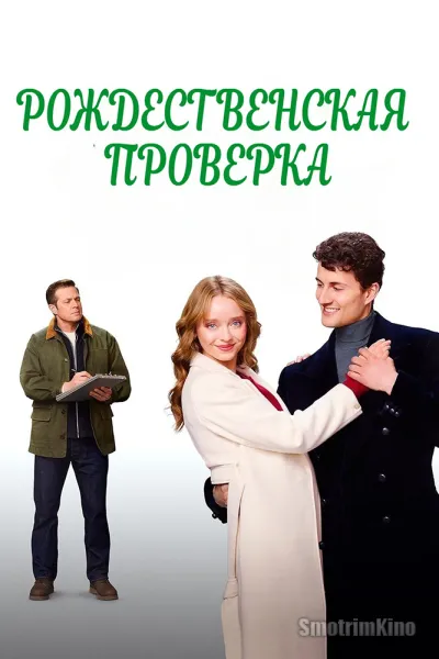 Рождественская проверка