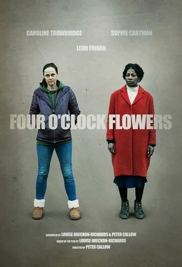 Цветы на четыре часа